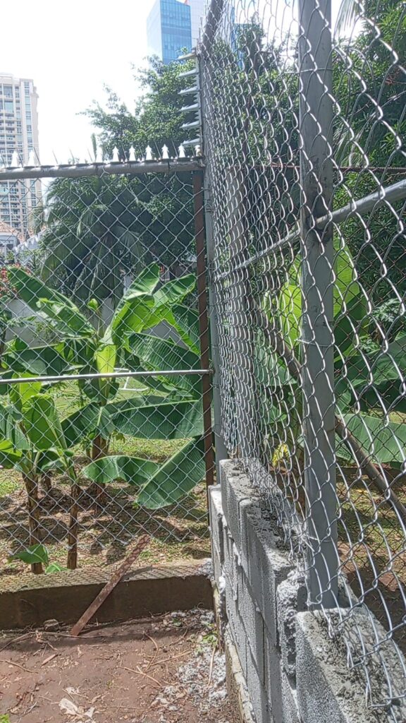 whatsapp image 2025 08 17 at 11.39.19 am (2) whatsapp image 2025 08 17 at 11.39.19 am (2)