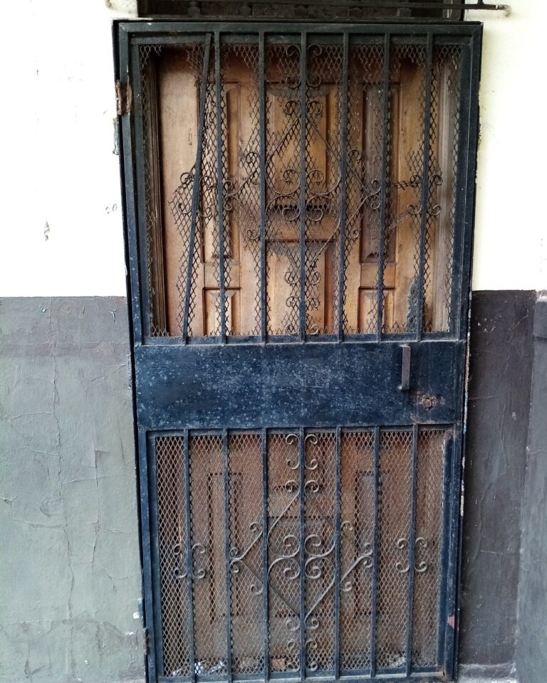 Vista frontal de una puerta de entrada exterior. Consiste en una puerta de madera con paneles y, superpuesta, una reja de seguridad de metal negro que la cubre por completo. La reja incluye una malla metálica desplegada y elementos decorativos de hierro forjado con volutas. El marco de la puerta y la pared adyacente están pintados de blanco y marrón oscuro en la parte inferior.