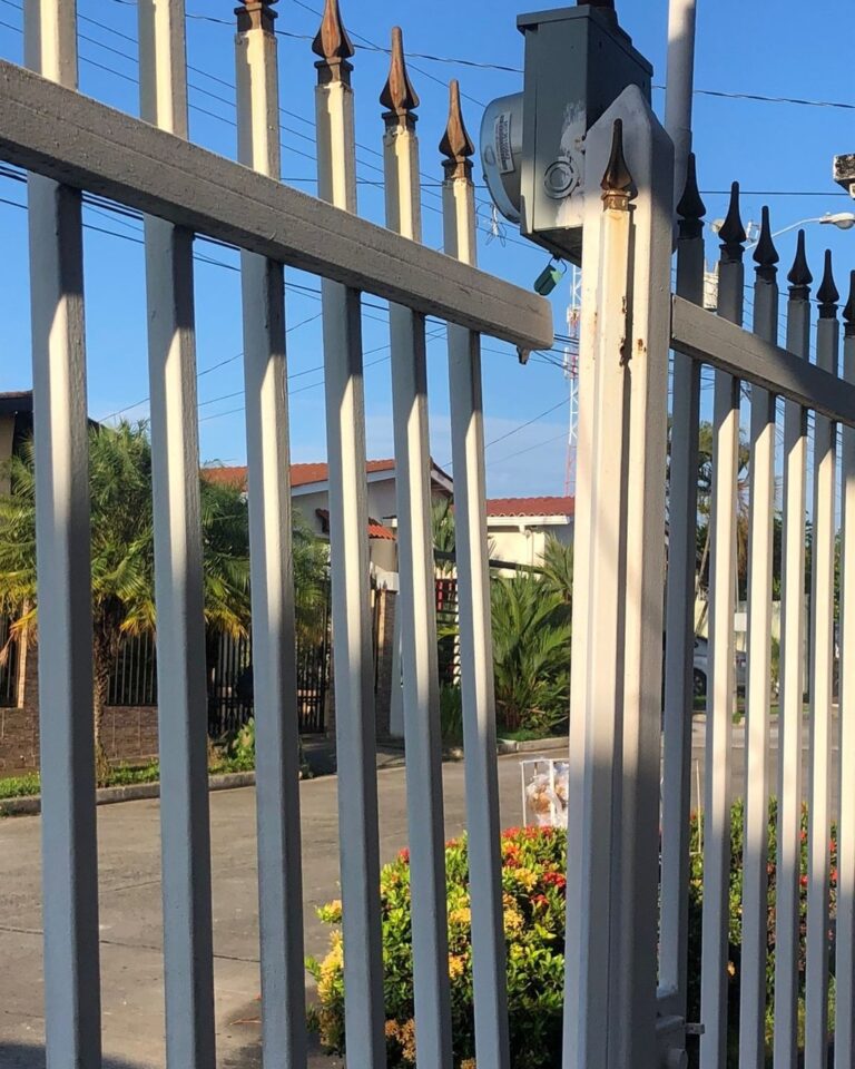 Vista en primer plano de una reja de metal de barrotes verticales de color blanco, terminada con puntas de lanza decorativas de color marrón dorado. Está situada en el exterior de una casa, con un pequeño jardín de arbustos con flores rojas y amarillas en la base. Al fondo, se ven casas residenciales de estuco. El cielo está azul y despejado.