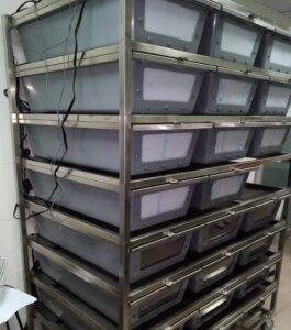 Estructura metálica vertical de varios niveles sobre ruedas, equipada con múltiples bandejas o contenedores plásticos grises con paneles frontales translúcidos para almacenamiento o cría.