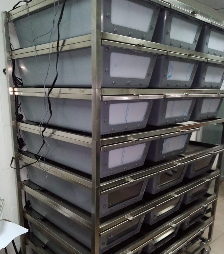 Estructura metálica vertical de varios niveles sobre ruedas, equipada con múltiples bandejas o contenedores plásticos grises con paneles frontales translúcidos para almacenamiento o cría.