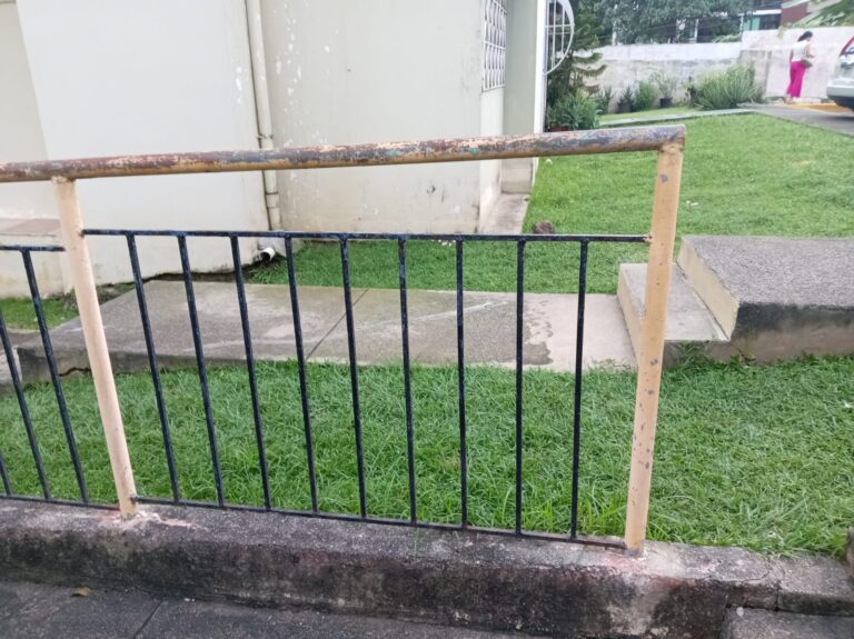 Primer plano de una baranda metálica con pasamanos tubular desgastado y barrotes verticales negros, situada frente a un jardín y una pared clara.